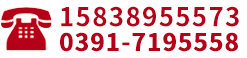 0391-7431555
